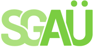 SG AY logo